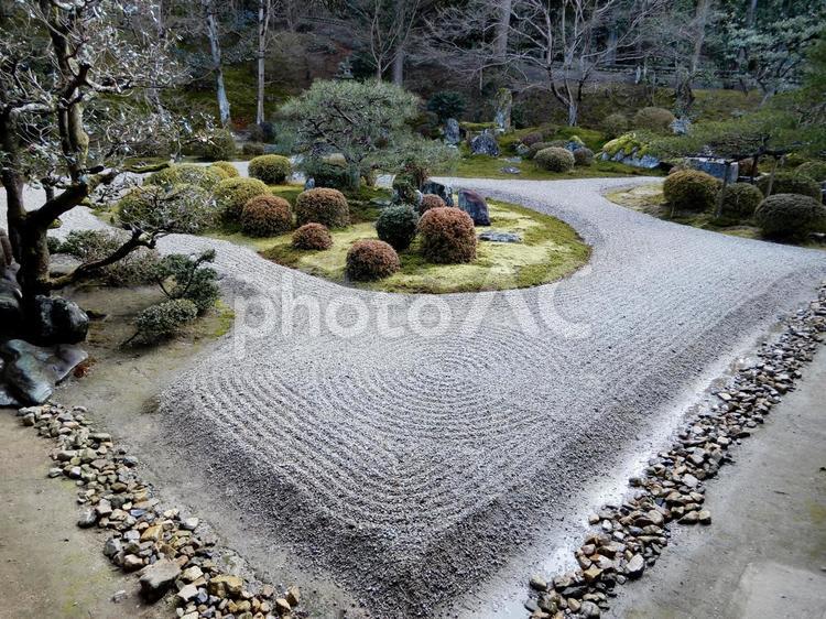 曼殊院門跡　庭 曼殊院,曼殊院門跡,日本庭園の写真素材