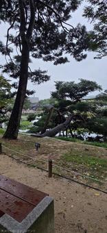 韓国の街並み 景色,建物,街並みの写真素材