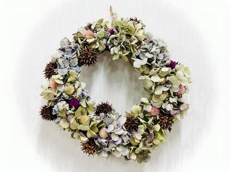 紫陽花のリース 紫陽花のリース リース,ドライフラワー,天然素材の写真素材