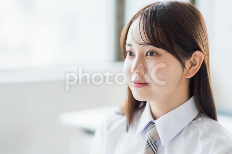 勉強をする女子高校生。 女性,女子,高校生の写真素材