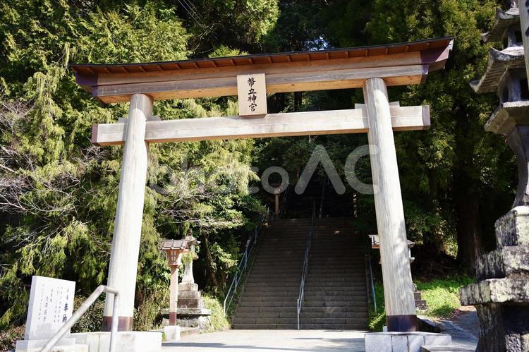 熊本県幣立神宮 幣立,幣立神宮,熊本の写真素材