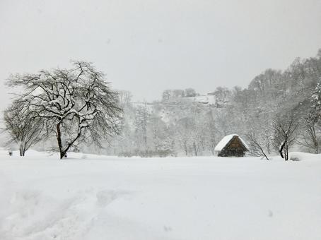冬の白川郷4 白川郷,茅葺屋根,合掌造りの写真素材