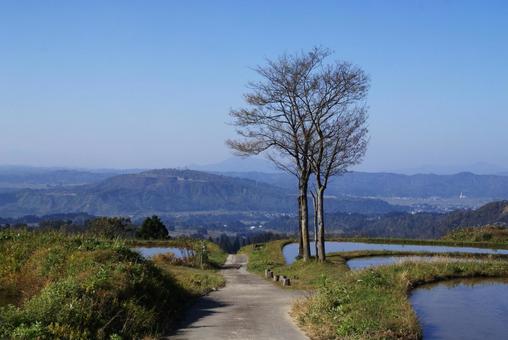 天空の棚田(春) 天空の棚田(春)の写真