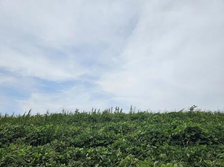 土手 土手 土手,堤防,夏の写真素材