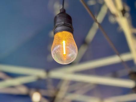 テント下の電球 電球,ライト,ランプの写真素材