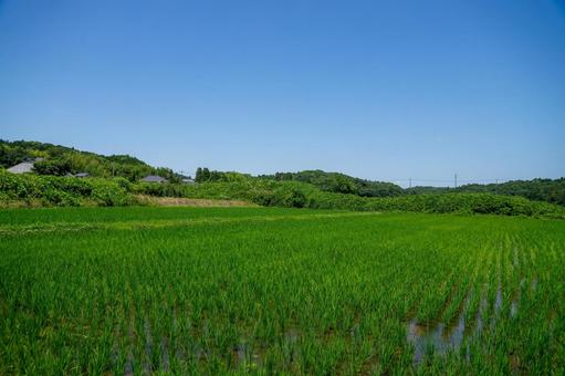 田園風景 田園風景 田園風景,田舎,田舎暮らしの写真素材