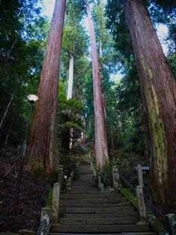山の中の階段 室生寺,階段,石段の写真素材