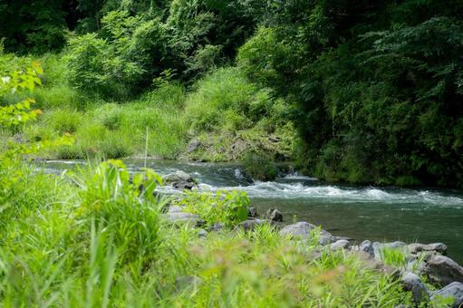 夏の渓流 夏の渓流 川,自然,風景の写真素材