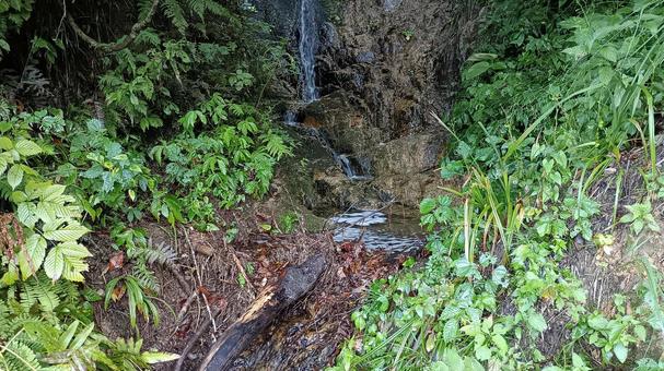 枝折峠途中にある小さな滝と小川 滝,小川,風景の写真素材
