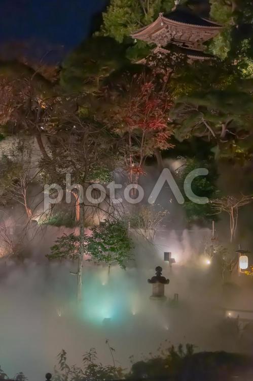 夜景と濃霧のイルミネーション 自然,風景,癒されるの写真素材
