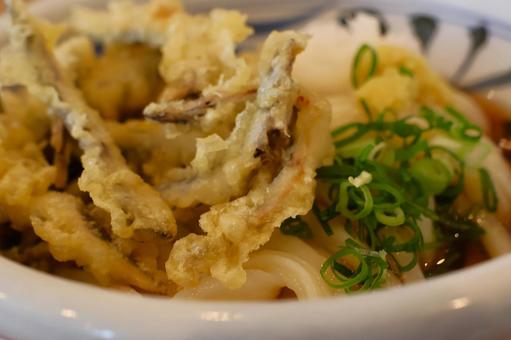 いかなごの天ぷらぶっかけうどんの冷や いかなごの天ぷらぶっかけうどんの冷やの写真
