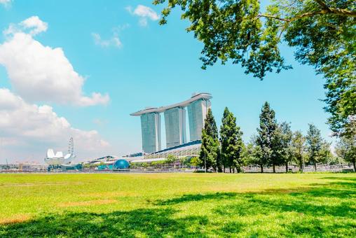 【シンガポール】緑とマリーナベイサンズ シンガポール,マリーナベイサンズ,ビルの写真素材