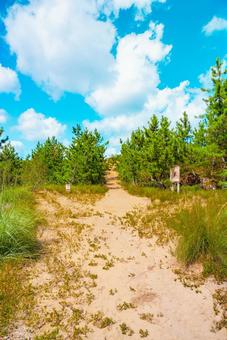 【鳥取】鳥取砂丘の入り口 砂丘,鳥取,鳥取砂丘の写真素材