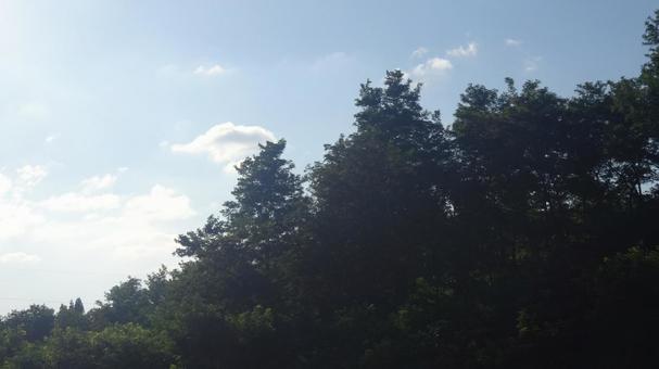 青 空 夏 山 青 空 夏 山の写真