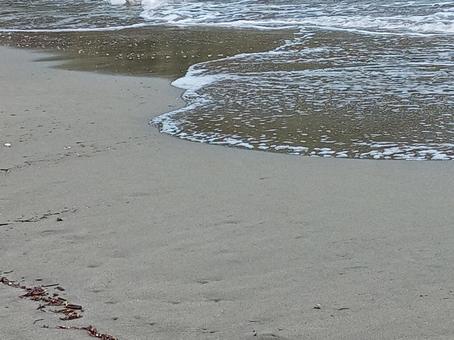 波打ち際 波打ち際,海,波の写真素材
