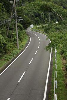 吊り橋の下を通る道 吊り橋の下を通る道の写真