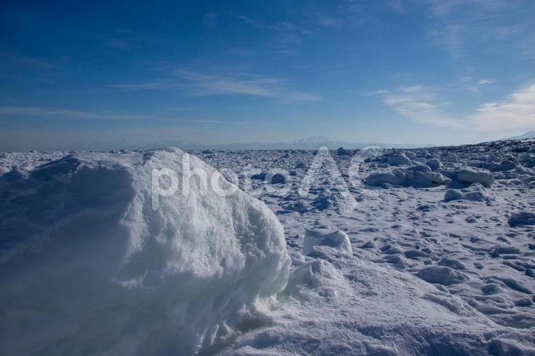 流氷に埋め尽くされた海岸 流氷,流氷原,氷原の写真素材