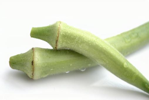 新鮮なオクラ 新鮮なオクラ オクラ,野菜,食材の写真素材