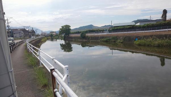宇美川-志免町 宇美川-志免町の写真