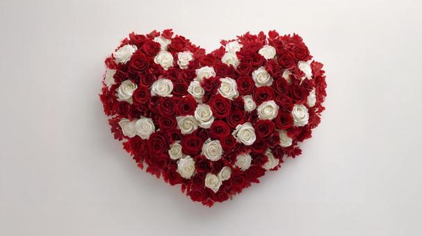 赤と白の薔薇で作ったハート 赤と白の薔薇で作ったハートの写真