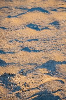鳥取県　鳥取砂丘の風景 鳥取砂丘,日本の風景,自然の写真素材