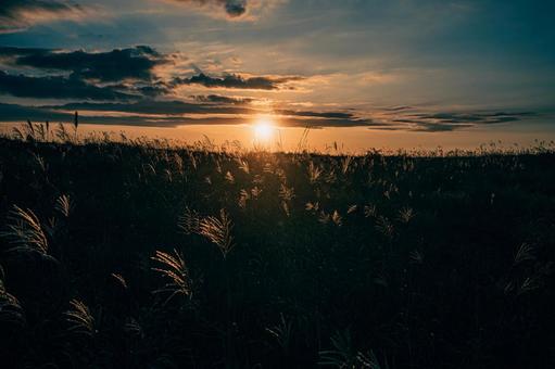 夕陽とススキ 夕陽とススキ 夕陽,夕日,夕方の写真素材