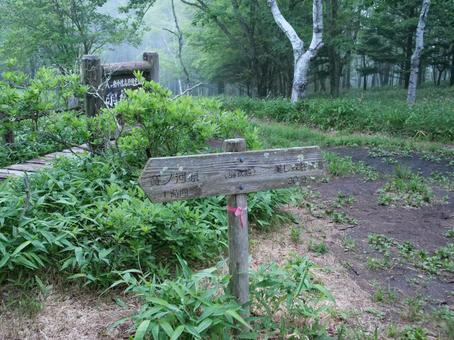赤岳 真教寺尾根の登山道 赤岳 真教寺尾根の登山道 赤岳,八ヶ岳,真教寺尾根の写真素材