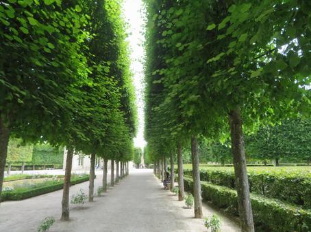 ヴェルサイユ宮殿のフランセ庭園周辺の風景 フランセ庭園,pavillon,fraisの写真素材