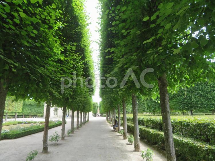 ヴェルサイユ宮殿のフランセ庭園周辺の風景 フランセ庭園,pavillon,fraisの写真素材