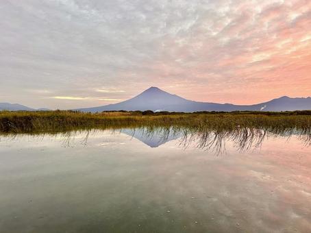 朝の富士川に映る空と雲と富士山 朝の富士川に映る空と雲と富士山 富士山,富士川,逆さ富士の写真素材