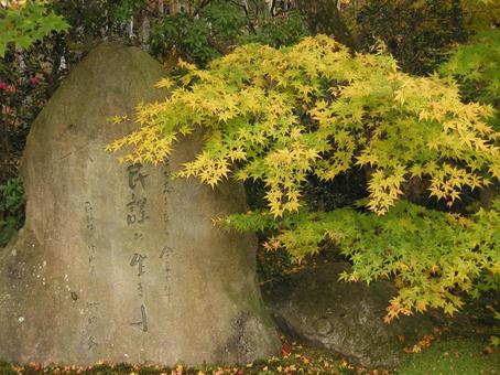 京都　大原 京都市,左京区,秋の写真素材