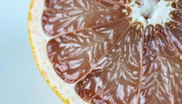 グレープフルーツ　カット断面の写真