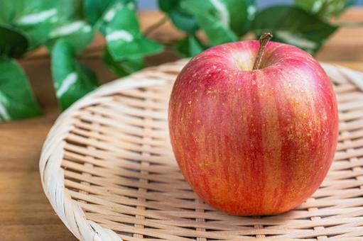 りんご(早生ふじ) りんご,早生ふじ,林檎の写真素材