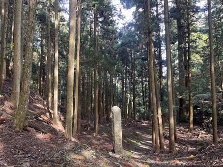 比叡山 比叡山,森林,大津市の写真素材