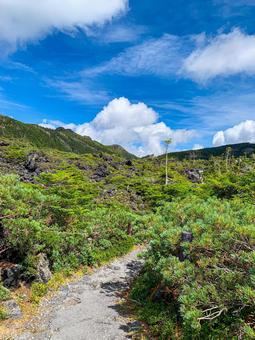 北八ヶ岳坪庭自然園散策周遊コース 北八ヶ岳坪庭自然園散策周遊コース トレッキング,北八ヶ岳,坪庭の写真素材