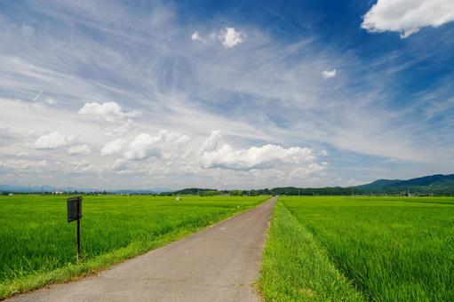 田園の風景⑼ 田園の風景⑼の写真