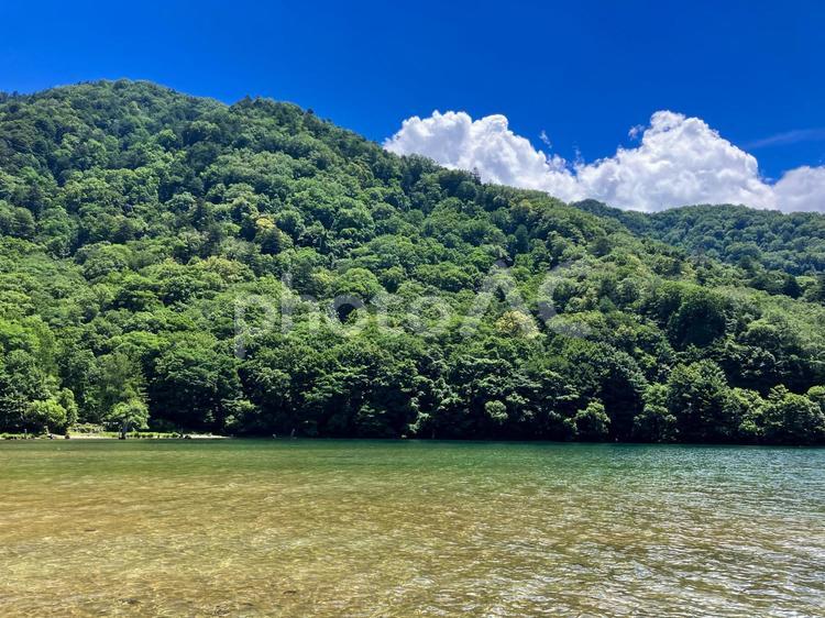 真夏の丸沼　群馬県片品村 丸沼,沼,湖の写真素材