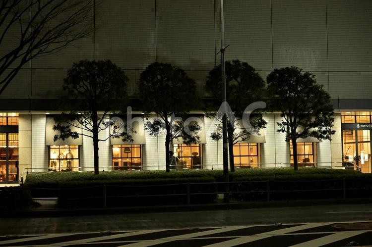 夜の横浜で幻冬に灯る窓の光 幻冬,横浜,おしゃれの写真素材