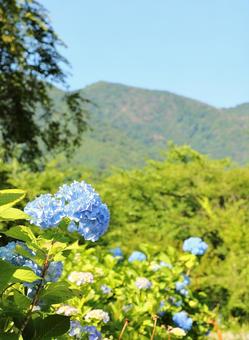 Photo, landscape, hiking, the scenery, 