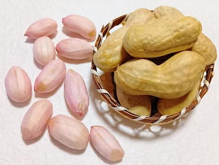 生落花生おおまさり 生落花生おおまさり 落花生,生,おおまさりの写真素材
