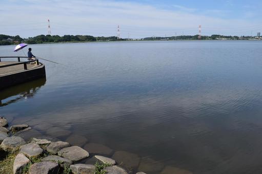 手賀沼 利根川水系 手賀沼,利根川水系,利根川水系の湖沼の写真素材