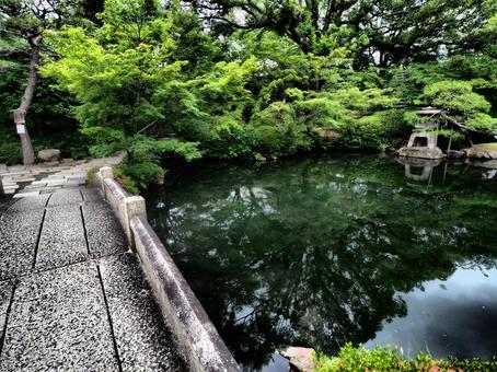 四天王寺本坊庭園池 四天王寺本坊庭園池 庭園,自然,和の写真素材