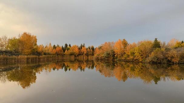 絵になる秋の写真　修正なし 紅葉,映える,きれいの写真素材