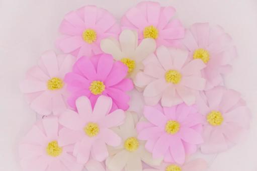 Pink and white cosmos flowers made from origami, JPG Pink and white cosmos flowers made from origami, JPG