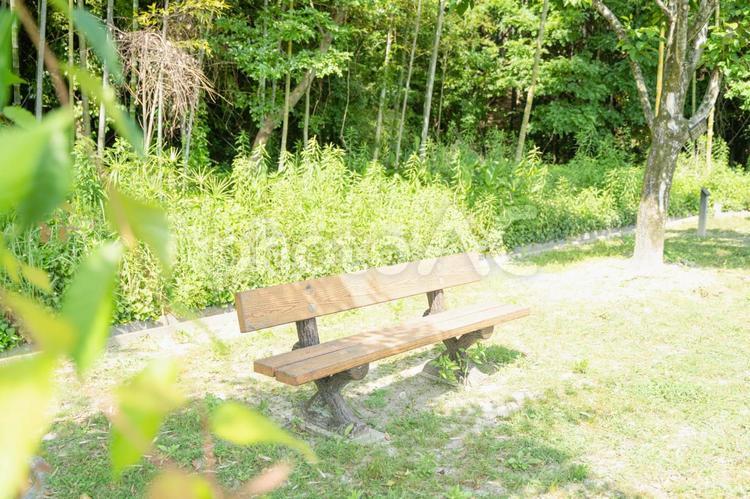 新緑　ベンチの文字入れ背景素材 ベンチ,葉っぱ,新緑の写真素材