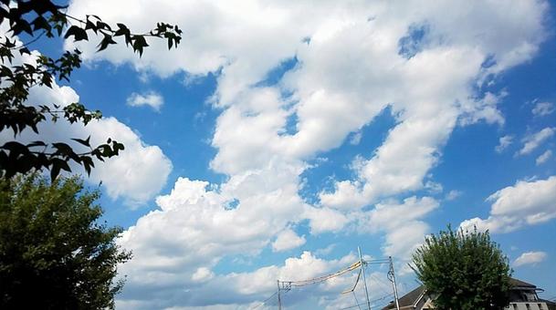 一面の空 一面の空の写真