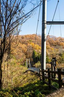 晩秋のやまびこ吊橋⑶ 橋,吊り橋,やまびこ吊橋の写真素材