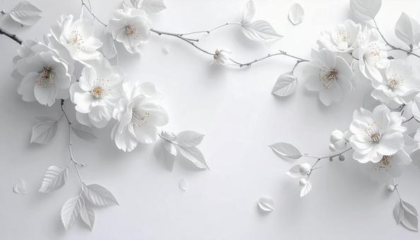 白い花の背景 白い花の背景の写真