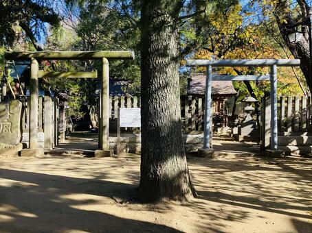 船橋大神宮　意富比神社　境内社 船橋大神宮,意富比神社,千葉県船橋市の写真素材