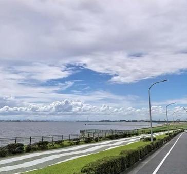 海沿いの道路 海沿い,道路,青空の写真素材